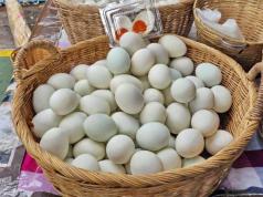 Утиные яйца: полезные свойства и возможный вред Что можно делать с утиными яйцами