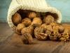 Как хранить грецкие орехи – очищенными или в скорлупе